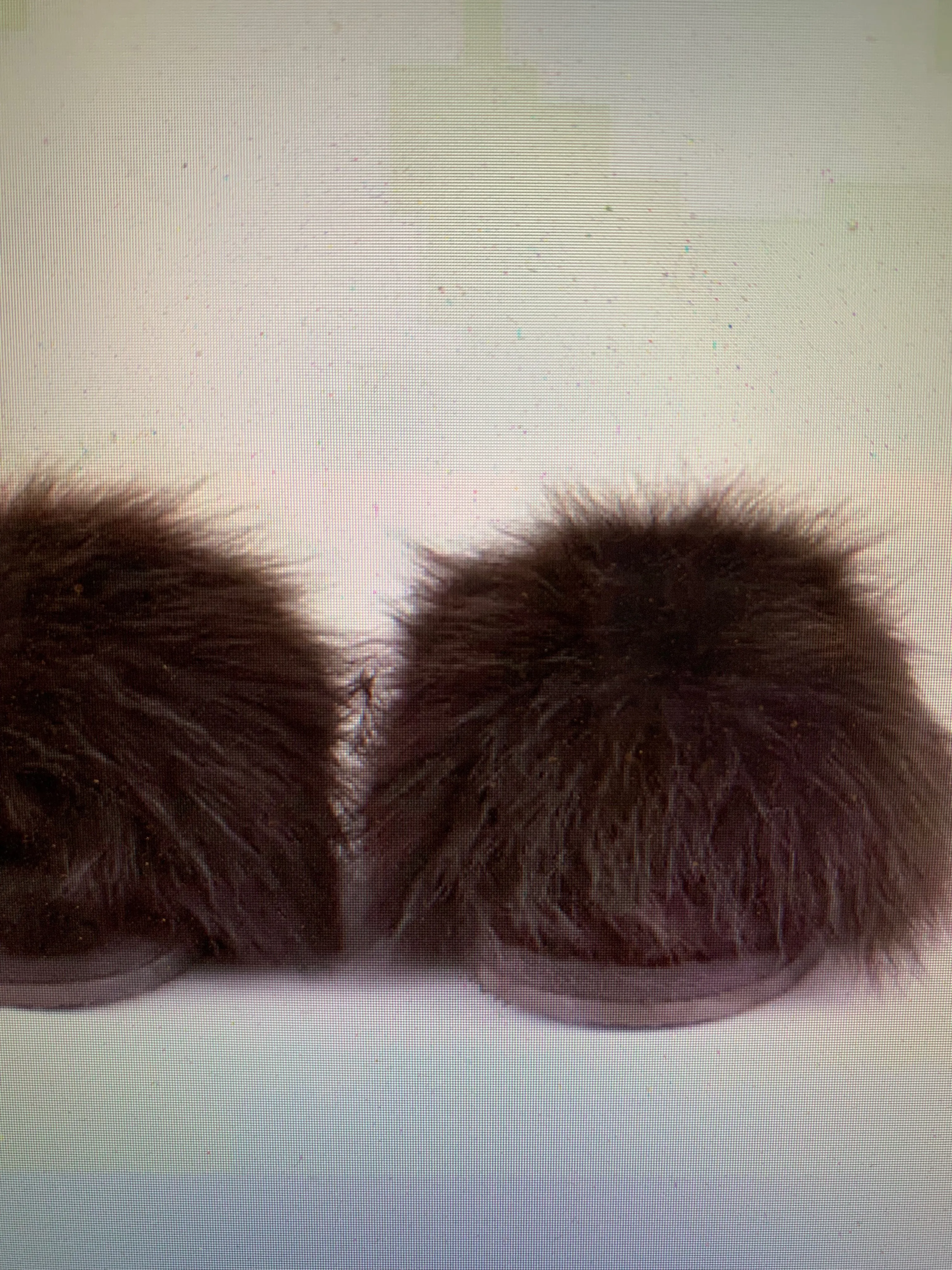 Tessan Slippers